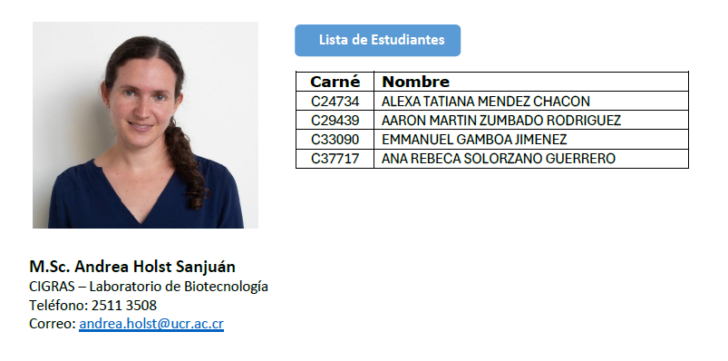 Andrea Holst Sanjuan