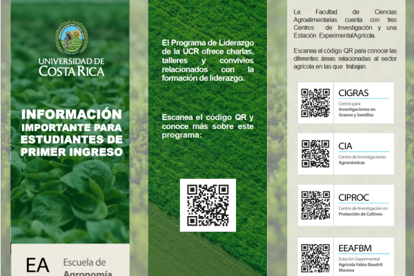 Brochure Informativo 2025